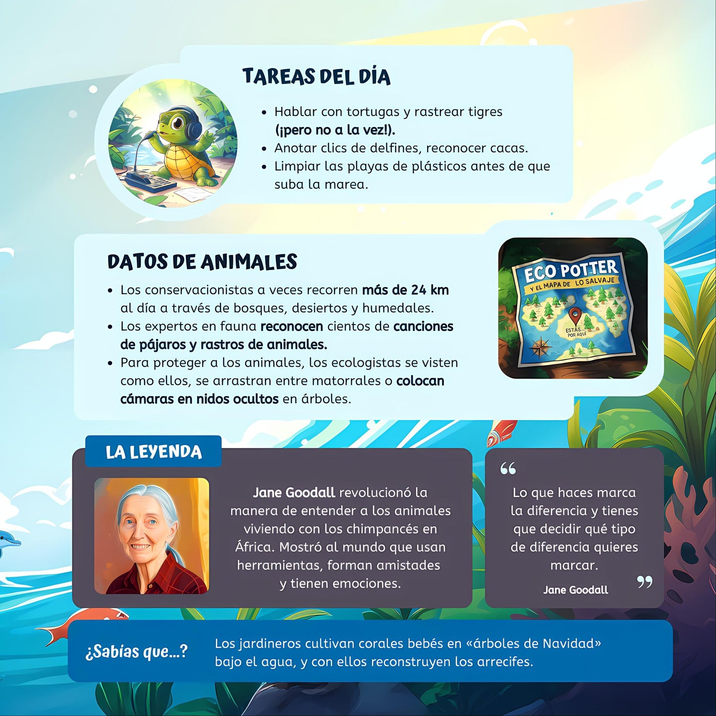 Tu mundo de posibilidades